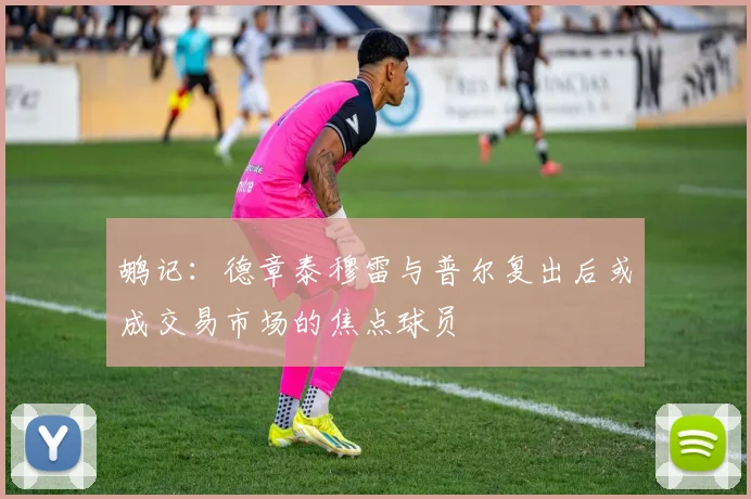 鹕记：德章泰穆雷与普尔复出后或成交易市场的焦点球员