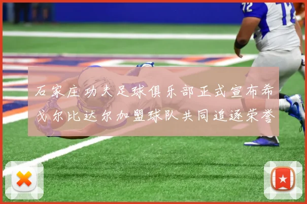 石家庄功夫足球俱乐部正式宣布希戈尔比达尔加盟球队共同追逐荣誉