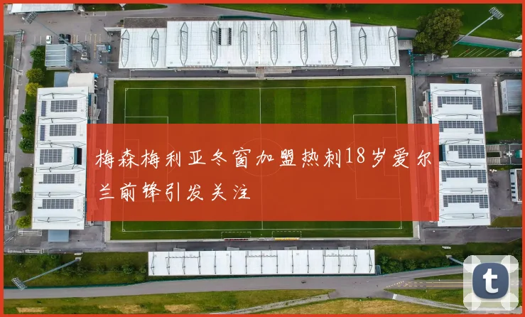 梅森梅利亚冬窗加盟热刺18岁爱尔兰前锋引发关注