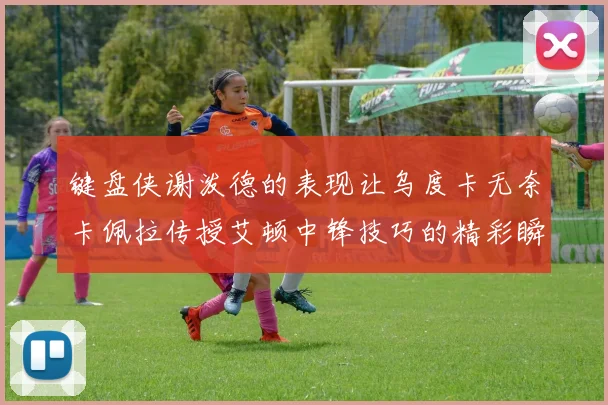 键盘侠谢泼德的表现让乌度卡无奈卡佩拉传授艾顿中锋技巧的精彩瞬间